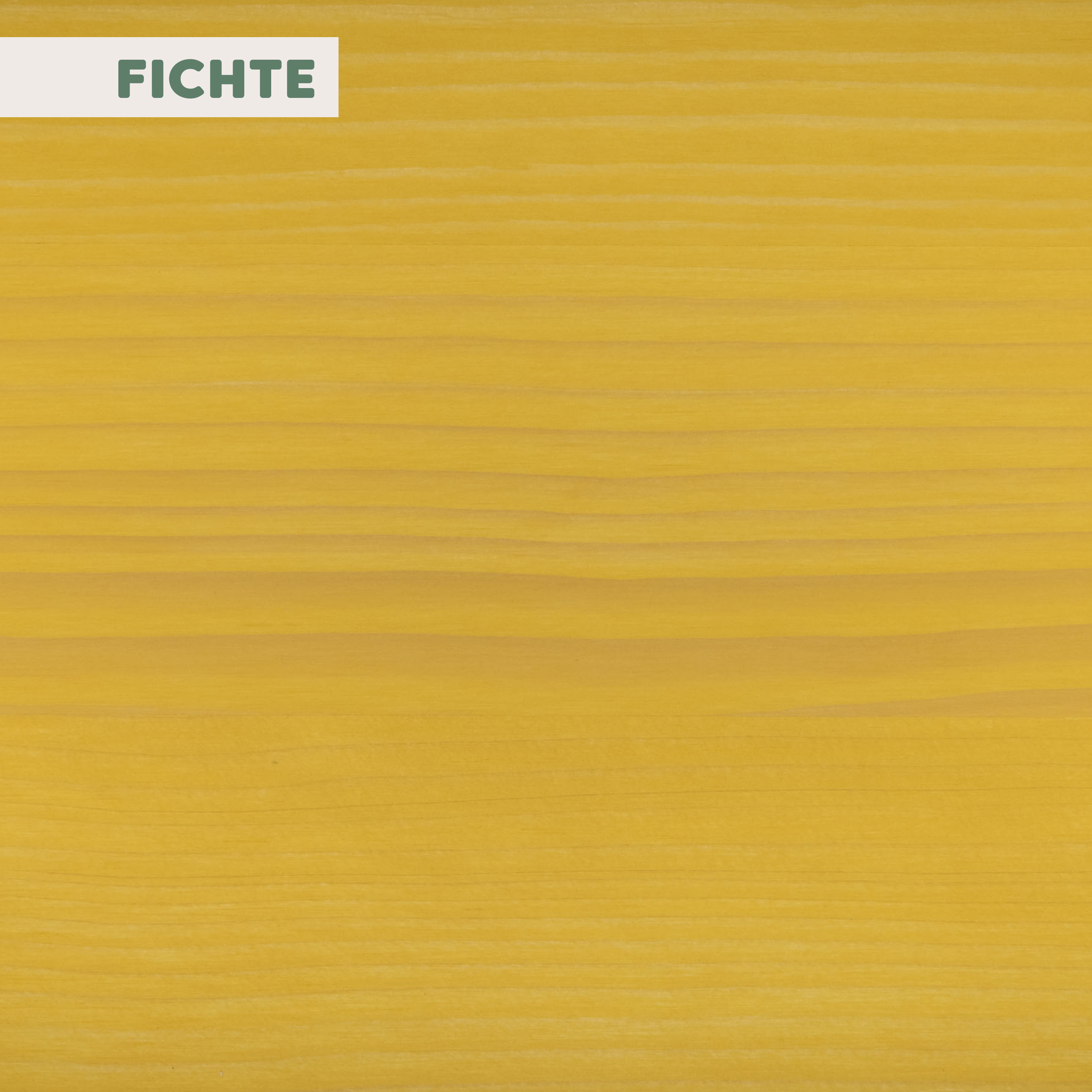 Natur Hartwachsöl FARBIG | Dijon