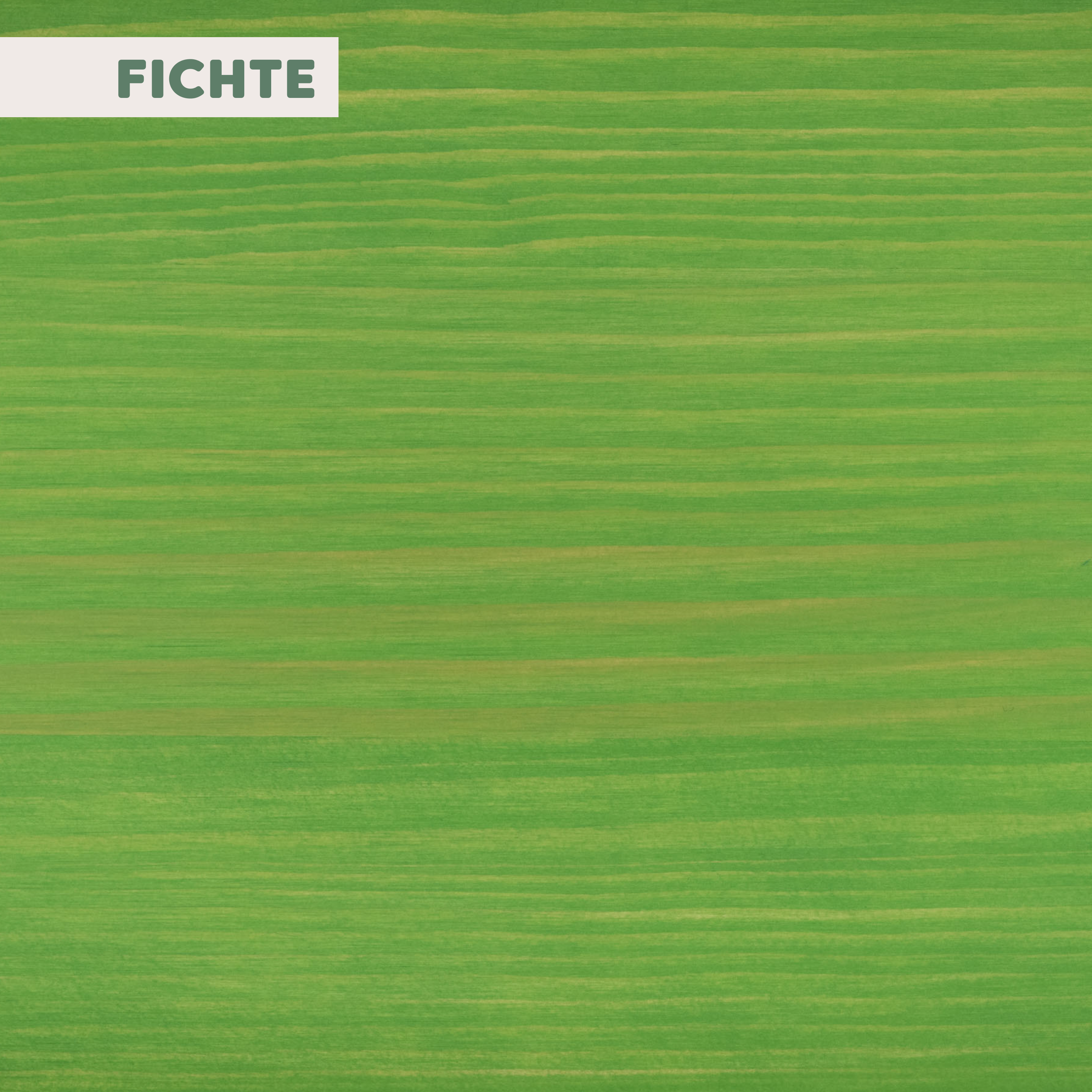 Natur Hartwachsöl FARBIG | Froggy