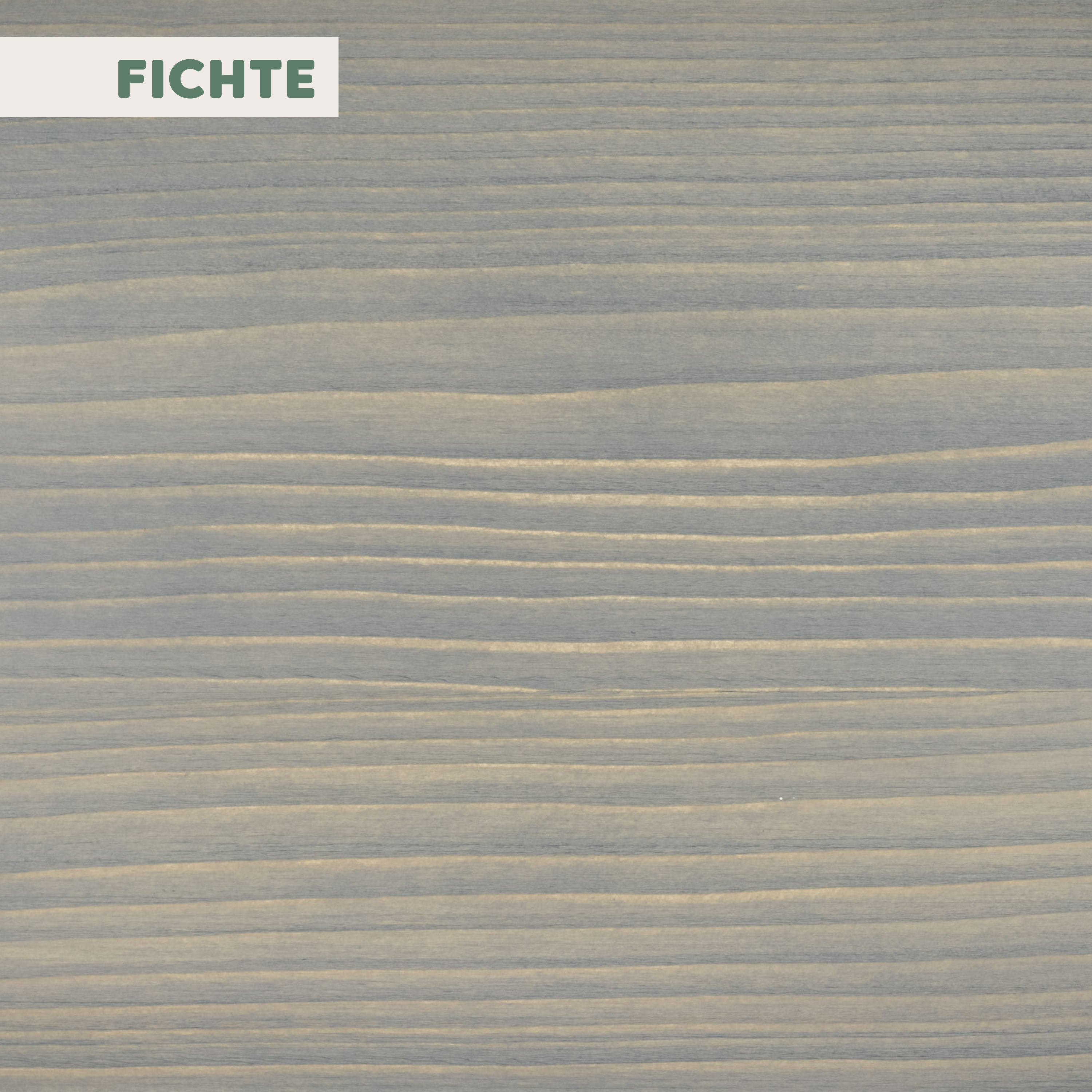 Natur Hartwachsöl FARBIG | Pidgeon